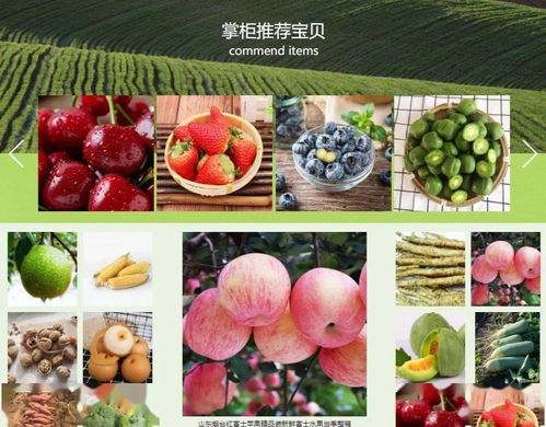 萊陽(yáng)特色農(nóng)產(chǎn)品購(gòu)買(mǎi)指南 認(rèn)準(zhǔn)優(yōu)質(zhì)零售渠道