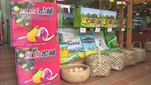 農(nóng)村電商網(wǎng)紅助力農(nóng)產(chǎn)品熱銷(xiāo)，促進(jìn)農(nóng)民增收致富